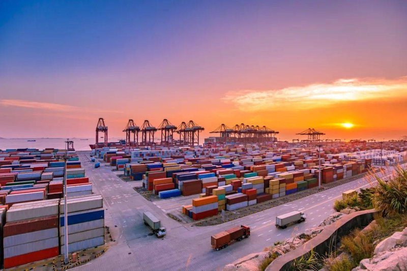 上海贸易公司的崛起：从传统到现代